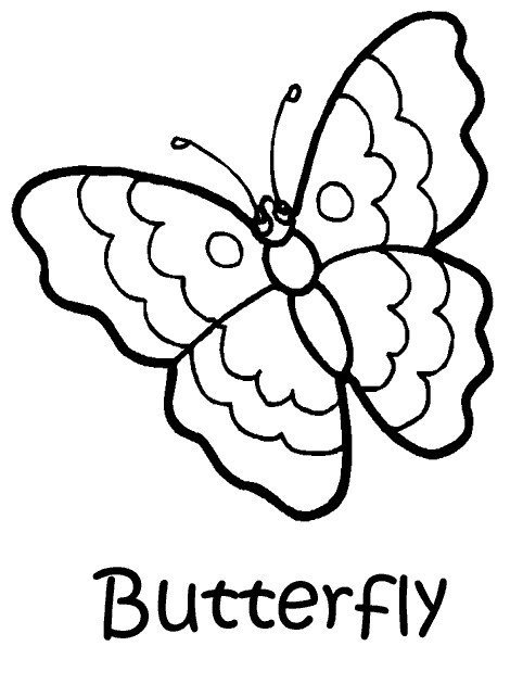 Butterfly coloring pages