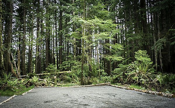Campground photos