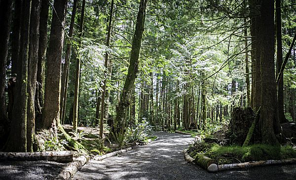 Campground photos