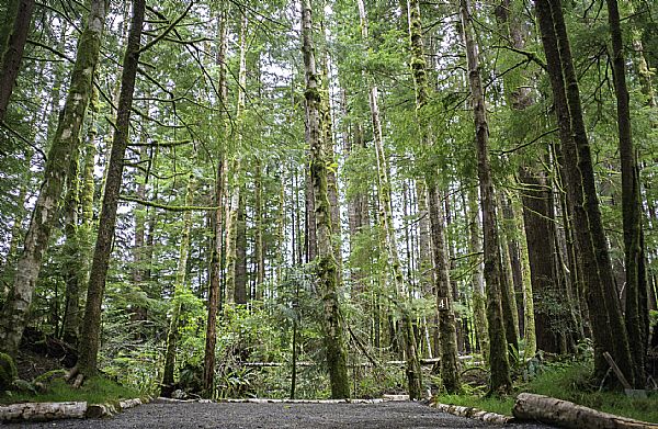 Campground photos