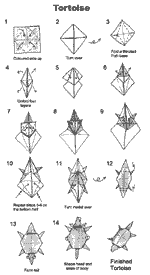 Tortoise origami